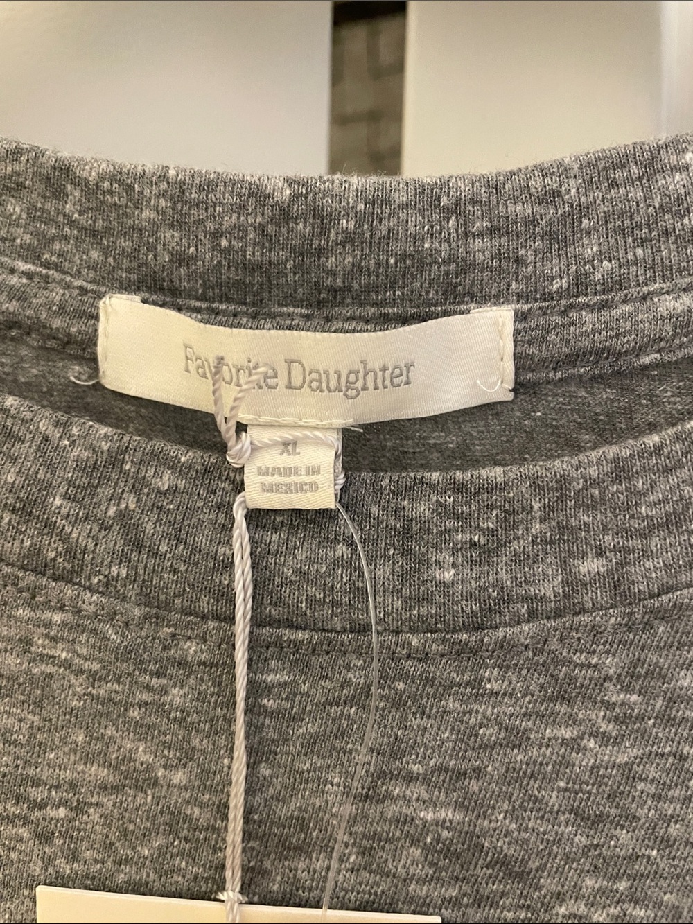 NWT Favorite Daughter Gray Tee with Turquoise Graphic XL - Picture 5 of 7